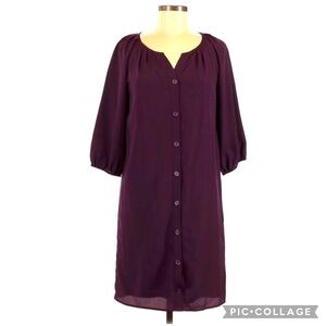 The Limited Button Up 3/4 Slight Puff Sleeve Dress